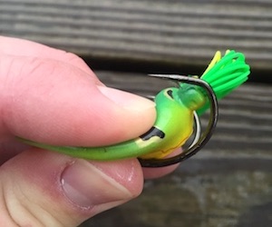 Weedless Frog Lure