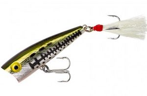 Popper Lure