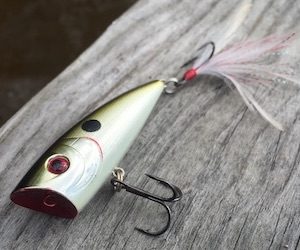 Popper Lure