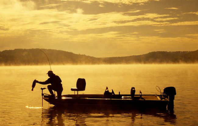 Best Bass Lures For Summer - Catch More Bass This Summer