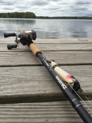 Is this the BEST Swimbait Rod and Reel Set Up? 