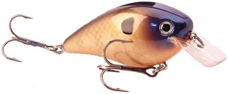  Quadratische Rechnung Crankbait