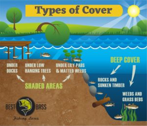 Types of Cover Bass Fishing