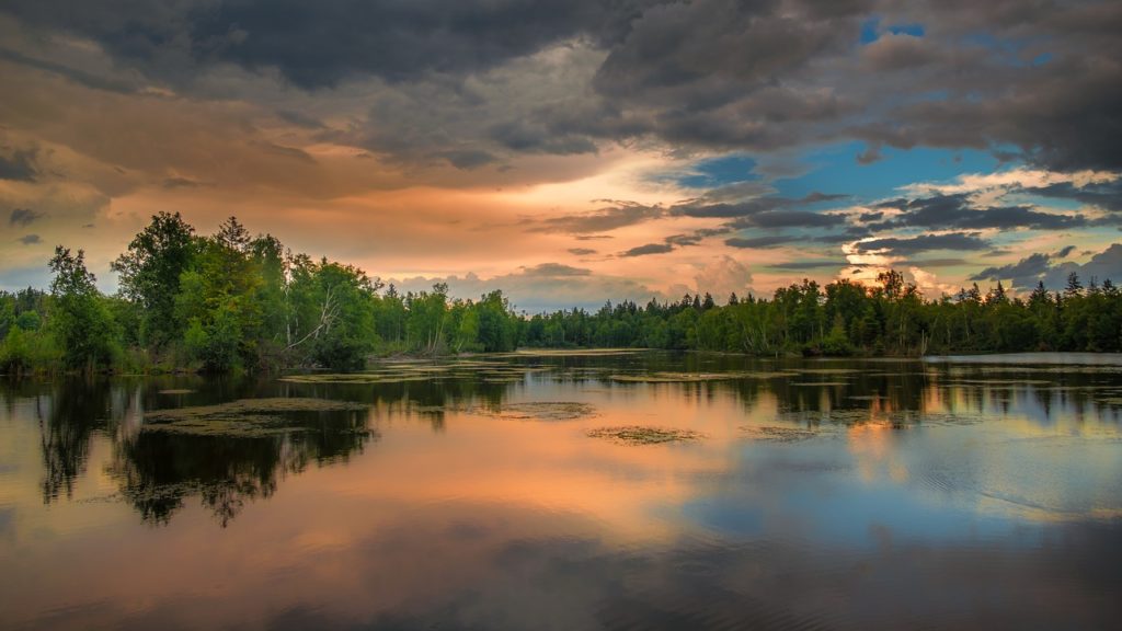 Best Bass Fishing Weather